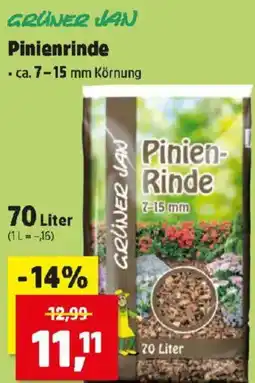 Thomas Philipps Pinienrinde Angebot