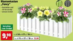 Thomas Philipps Blumenkasten fency Angebot