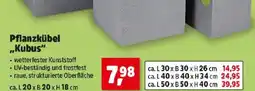 Thomas Philipps Pflanzkübel kubus Angebot