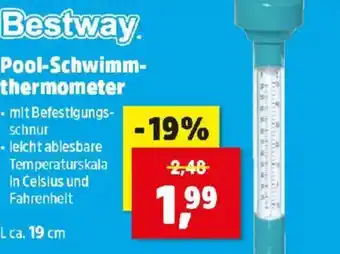 Thomas Philipps Pool-Schwimm- thermometer Angebot