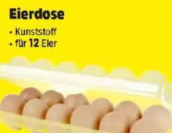 Thomas Philipps Eierdose Angebot