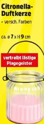 Thomas Philipps Citronella- duftkerze Angebot