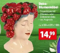 Thomas Philipps Deko- blumenkübel Angebot