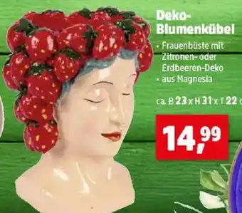 Thomas Philipps Deko- blumenkübel Angebot