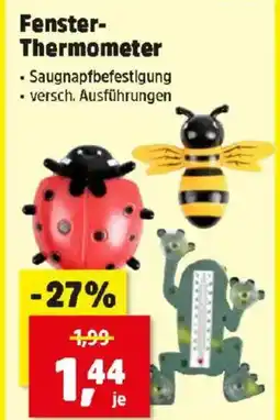 Thomas Philipps Fenster thermometer Angebot
