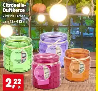 Thomas Philipps Citronella duftkerze Angebot