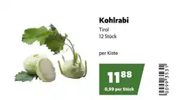 Eurogast Grissemann Kohlrabi tirol Angebot