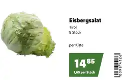 Eurogast Grissemann Eisbergsalat Angebot