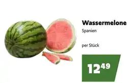 Eurogast Grissemann Wassermelone spanien Angebot