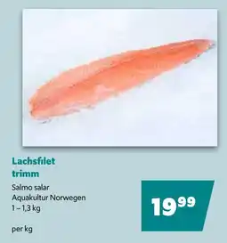 Eurogast Grissemann Lachsfilet trimm Angebot
