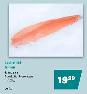 Eurogast Grissemann Lachsfilet trimm Angebot
