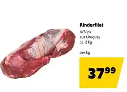 Eurogast Grissemann Rinderfilet Angebot