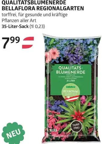 Bellaflora Qualitätsblumenerde bellaflora regionalgarten Angebot
