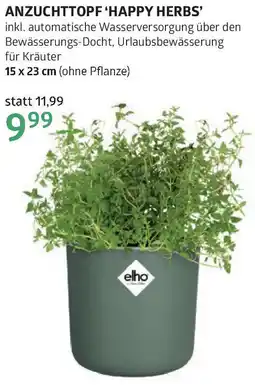 Bellaflora Anzuchttopf 'happy herbs Angebot