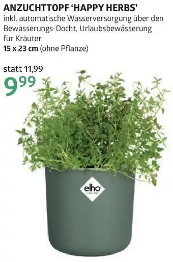 Bellaflora Anzuchttopf 'happy herbs Angebot