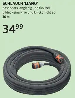 Bellaflora Schlauch 'liano Angebot