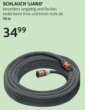 Bellaflora Schlauch 'liano Angebot