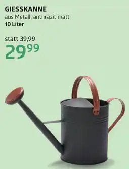 Bellaflora GIESSKANNE Angebot