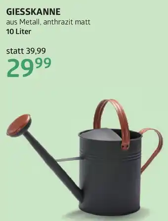 Bellaflora GIESSKANNE Angebot