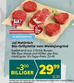 Billa Bio-Grillplatte vom Weidejungrind Angebot