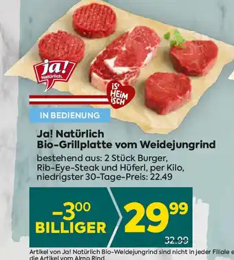 Billa Bio-Grillplatte vom Weidejungrind Angebot