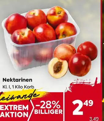 Billa Nektarinen Angebot
