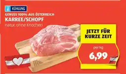 Hofer KARREE/SCHOPF Angebot