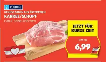 Hofer KARREE/SCHOPF Angebot
