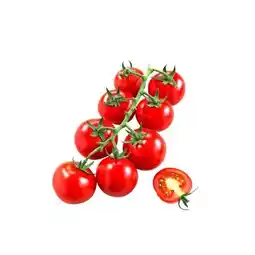 Hellweg Plantiflor Cocktailtomate plastikfrei Topf Angebot