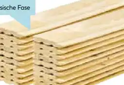 Hellweg Profilholz Angebot