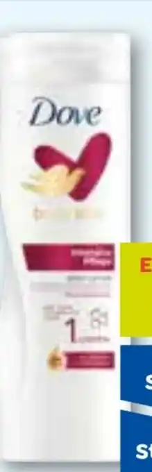 ADEG Dove Body Lotion Angebot