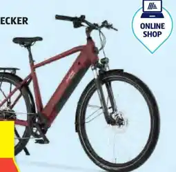 Hofer Prophete Herren E-Bike Entdecker 2.3 Angebot