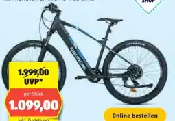 Hofer Grundig E-Mountainbike HT Angebot