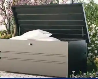 Hofer GFP Freizeitbox Gross Angebot