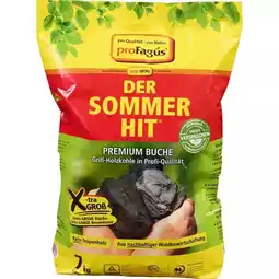 Hellweg Grill-Holzkohle „Der Sommer Hit“ 510783 HELLWEG Angebot