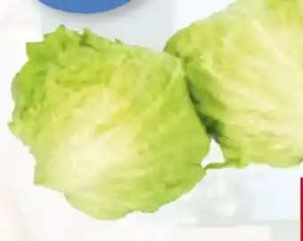 Unimarkt Eisbergsalat Angebot