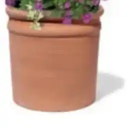 Bellaflora Topf Franco Alto Angebot