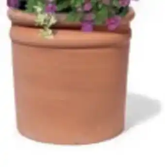 Bellaflora Topf Franco Alto Angebot