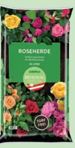 Bellaflora bellaflora Rosenerde Angebot
