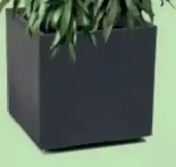 Bellaflora Topf Karo Angebot