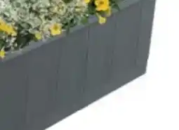Bellaflora Blumenkasten Angebot