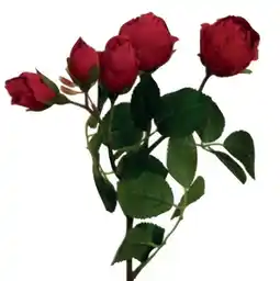 Bellaflora Seidenblume Rose Angebot
