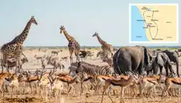 Billa Reisen Billa-Reisen Namibia Rundreise Angebot