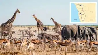 Billa Reisen Billa-Reisen Namibia Rundreise Angebot