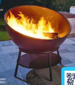 Hofer BBQ Feuerschale Angebot