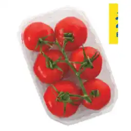 T&G Tomaten T&G Angebot