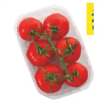 T&G Tomaten T&G Angebot