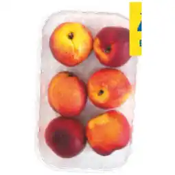 T&G Nektarinen T&G Angebot