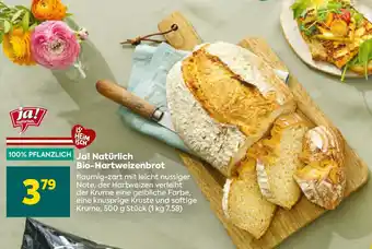 Billa Bio-Hartweizenbrot Angebot