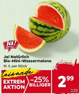 Billa Bio-Mini-Wassermelone Angebot